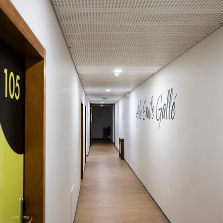Centre International De Sejour Lamourelle * Carcassonne